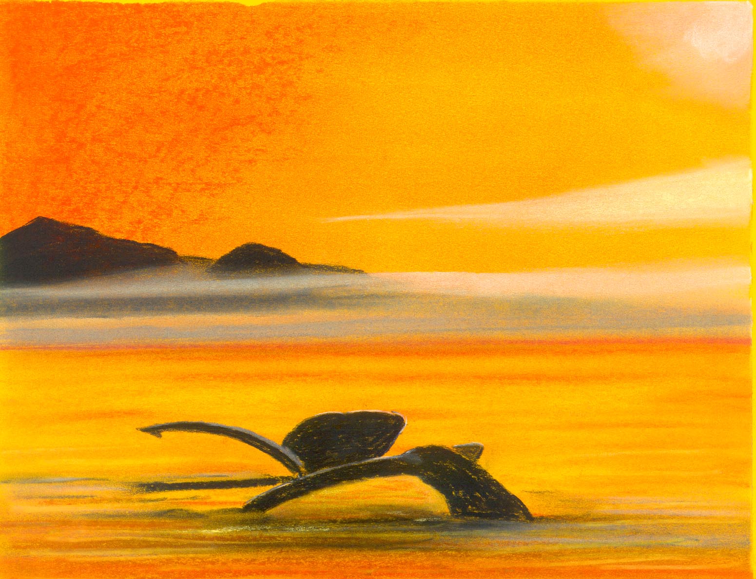 orangewhalesrkgott.jpg